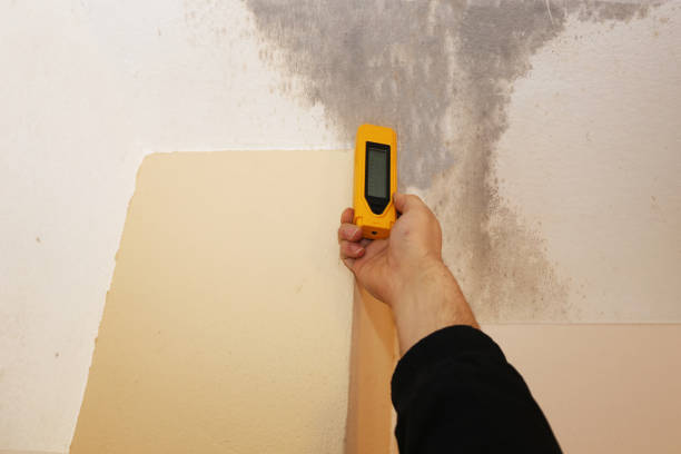 Best Airborne Mold Testing  in Alderson, WV