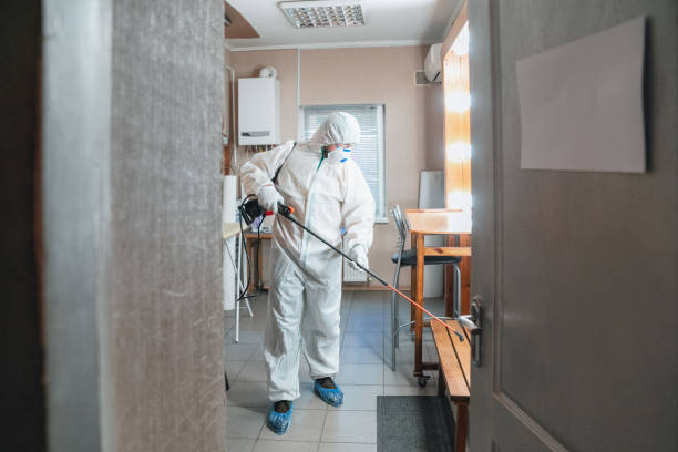 Best Forensic Mold Investigation  in Alderson, WV