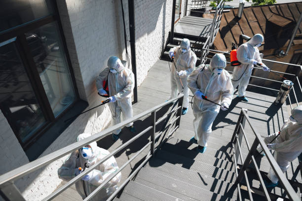 Best Black Mold Removal  in Alderson, WV
