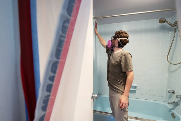 Mold Remediation for Vacation Homes in Alderson, WV