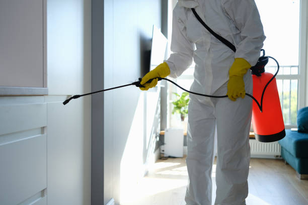 Best Biohazard Mold Removal  in Alderson, WV