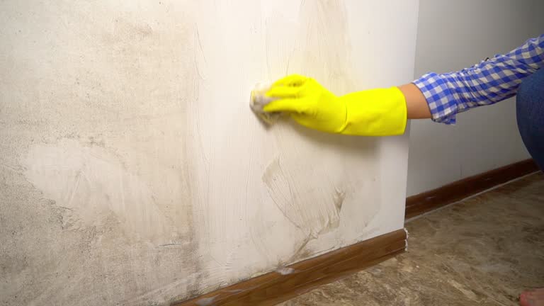 Best Mold-Related Health Consultation  in Alderson, WV