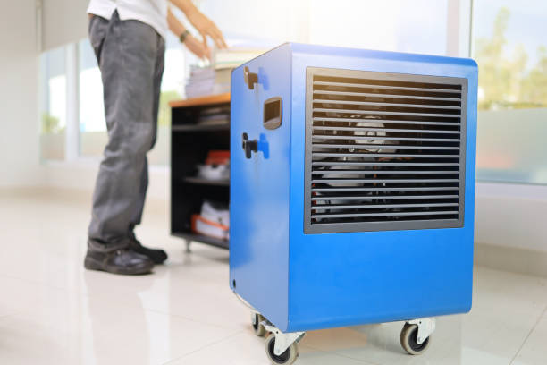 Mold Removal for HVAC Installations in Alderson, WV