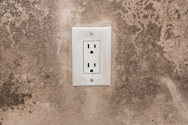 Best Mold Removal for HVAC Installations  in Alderson, WV