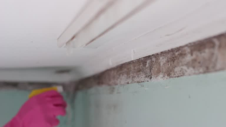 Best Air Quality Testing for Mold Spores  in Alderson, WV